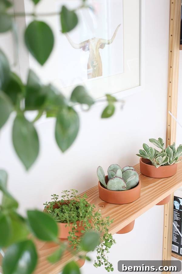 DIY Hanging Planter Shelf