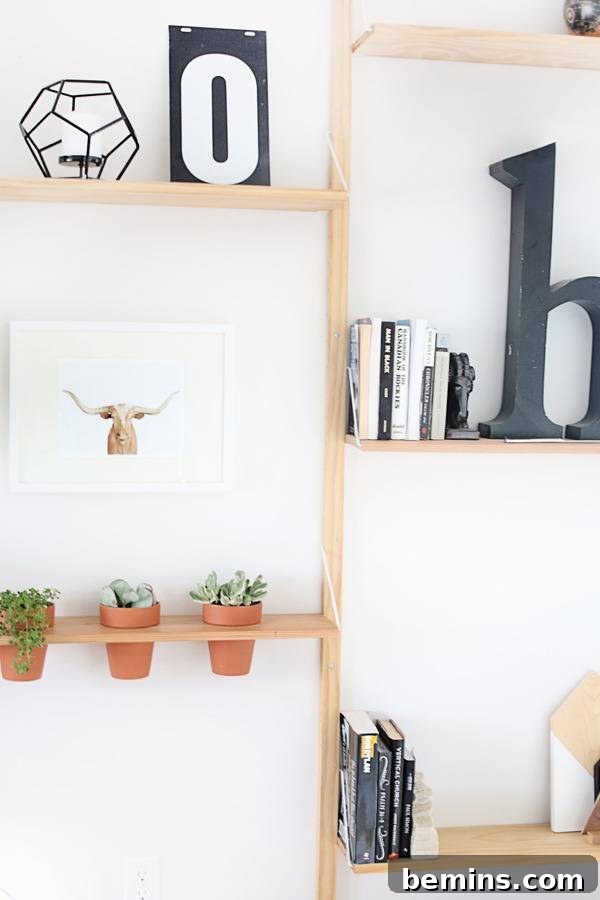 DIY Hanging Planter Shelf