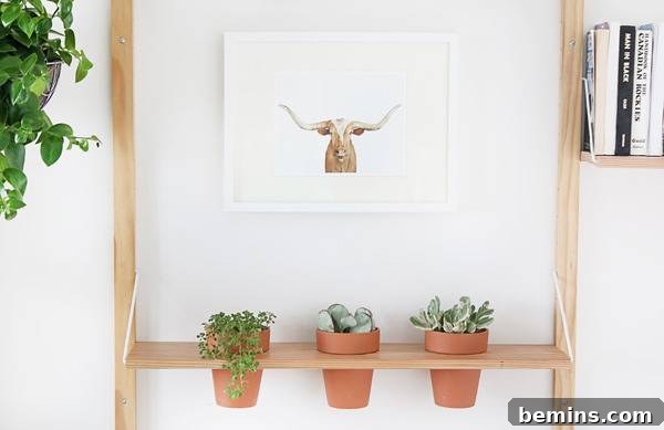 DIY Hanging Planter Shelf