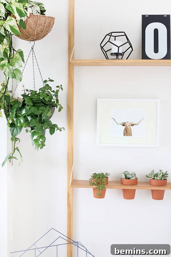DIY Hanging Planter Shelf