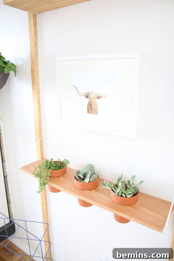 DIY Hanging Planter Shelf