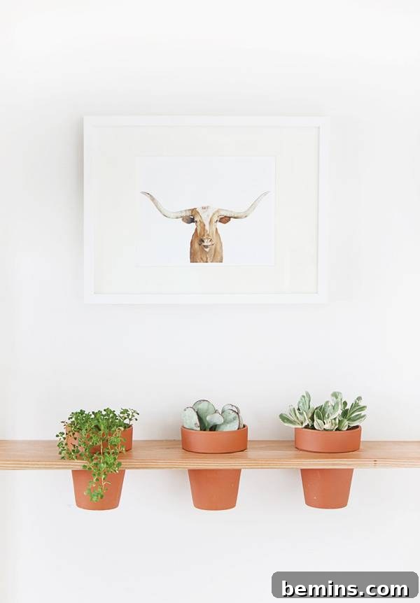 DIY Hanging Planter Shelf