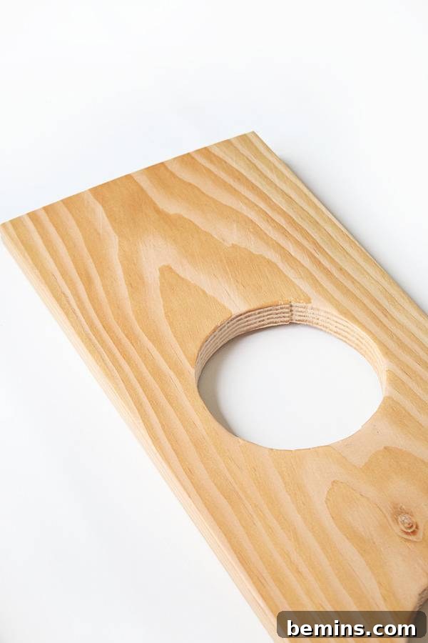 DIY Hanging Planter Shelf