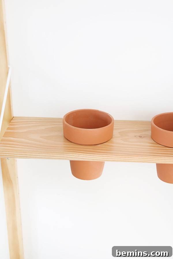 DIY Hanging Planter Shelf