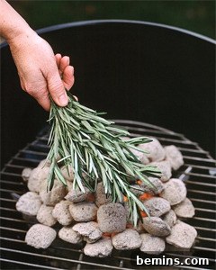 Rosemary as a Natural Bug Repellent