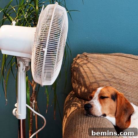 Using Fans to Repel Mosquitoes