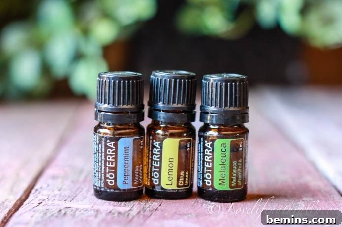 DIY All-Natural Insect Repellent