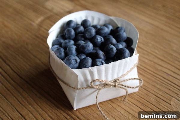 A white paper plate is folded to form a basket and tied with twine to hold blueberries.