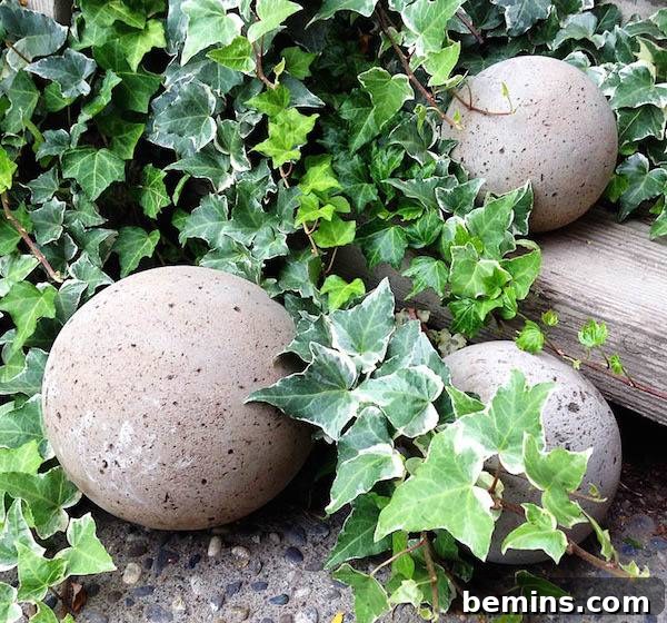 Three balls sit outside in and around ferns.