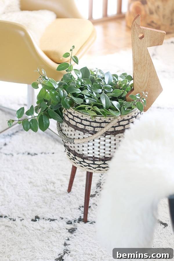 The Completed Llama Planter, a Creative Repurposed Sewing Basket
