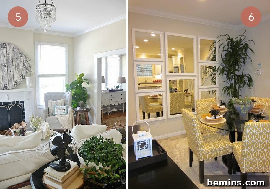 Adding Greenery to Your Rental: The Benefits of Houseplants