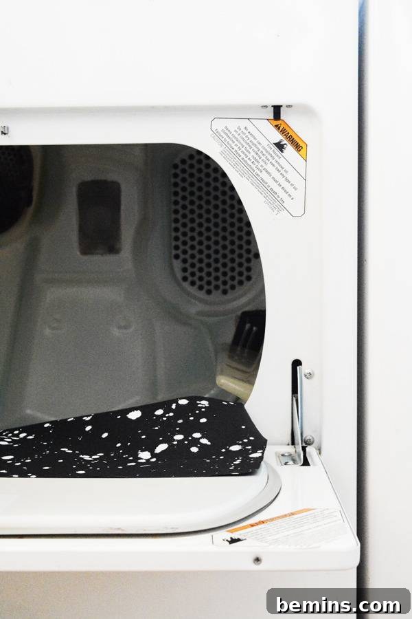 The door to a drying machine is open.
