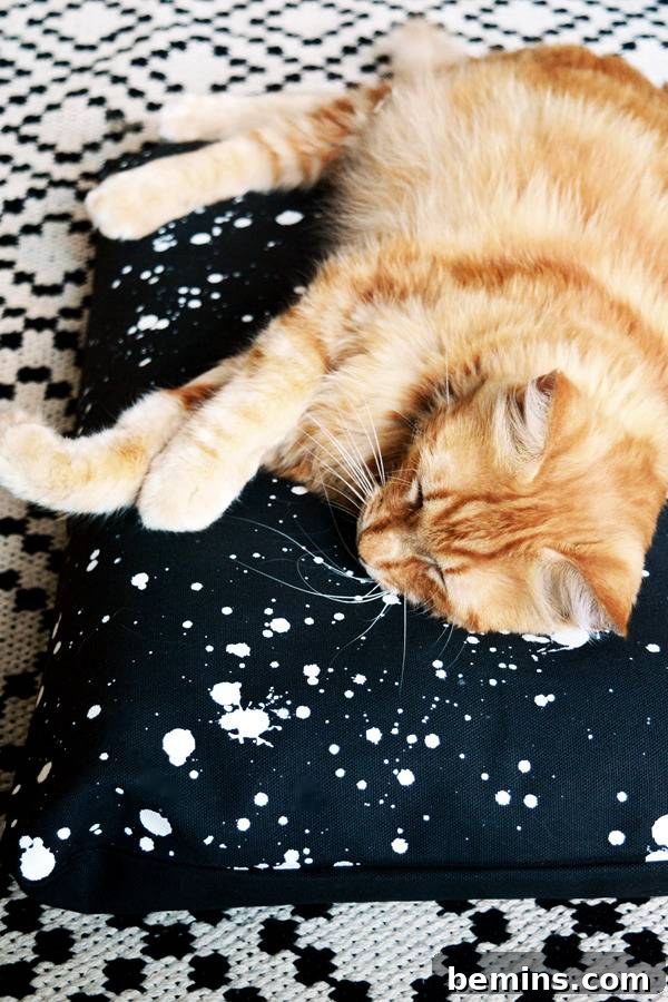 A brown cat resting in a comfy pillow