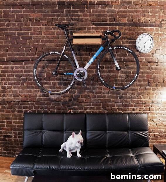 bike over sofa