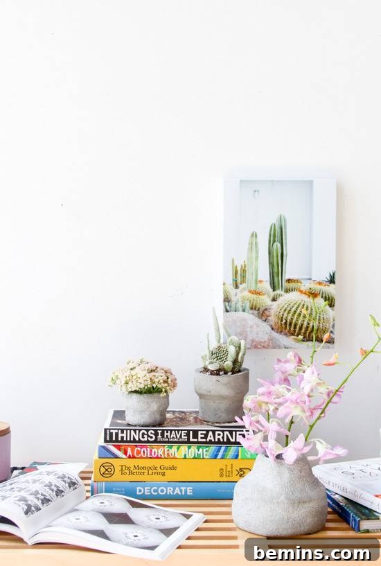 Desktop concrete planters hold plants.