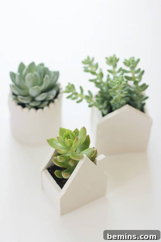 DIY Clay Houses for Plants: A Whimsical Touch for Your Garden