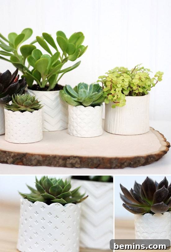 DIY Stamped Succulent Pots: Add a Personal Touch