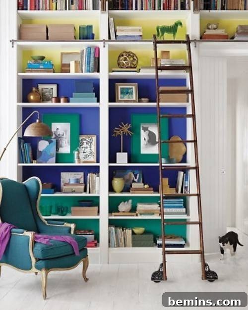 Attractive shelf organized with proper items.
