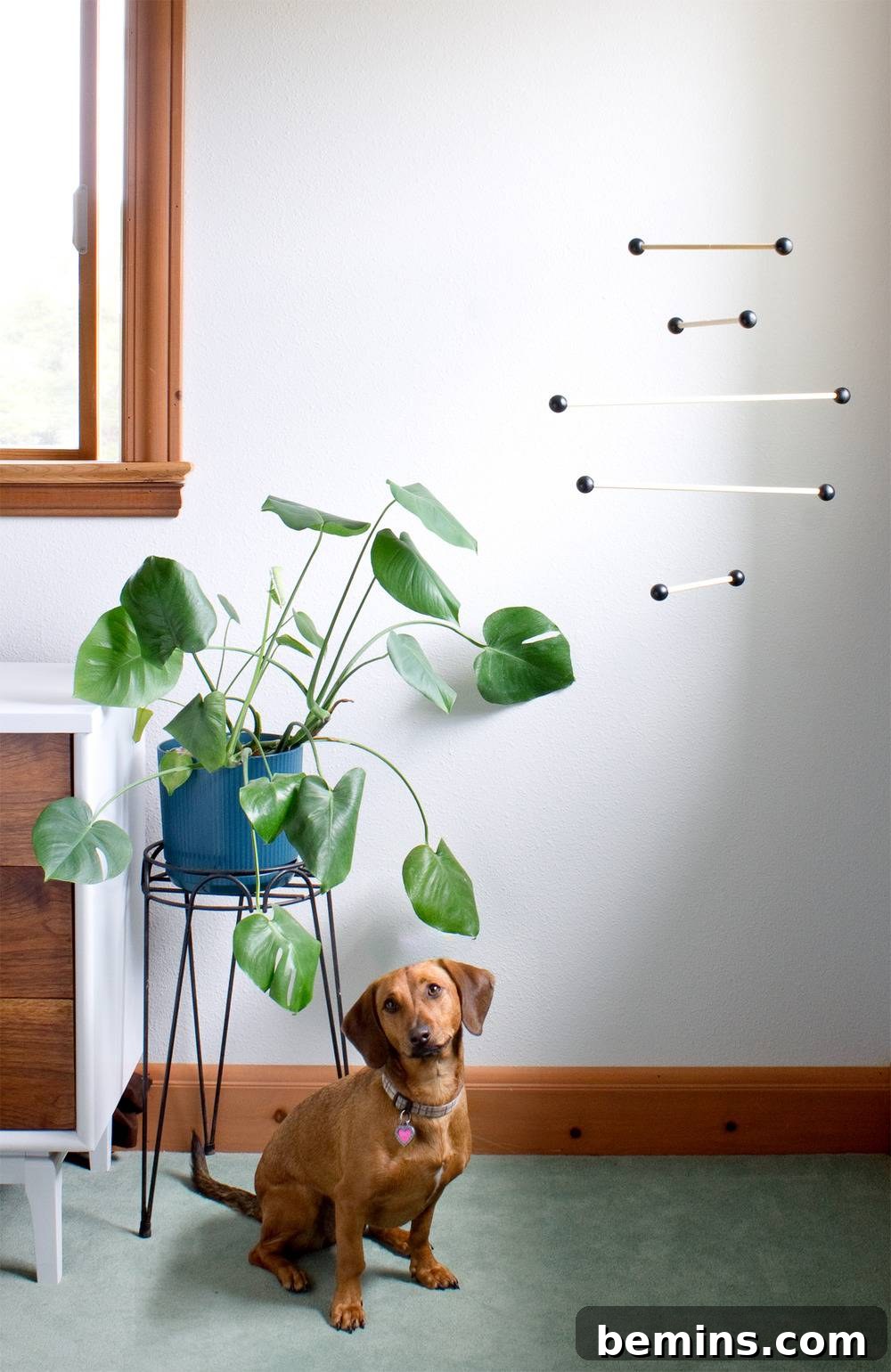 A dog sitting underneath a potted plant