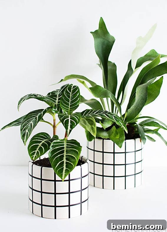 Grid patterned planters - Homey Oh My
