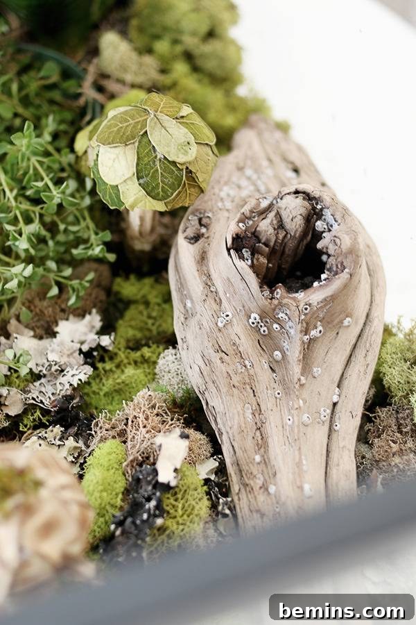 DIY Fall Terrarium: Simple Steps for Autumnal Beauty 14 DIY Seasonal Terrarium for Christmas