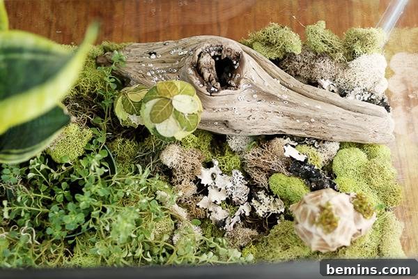 DIY Fall Terrarium: Simple Steps for Autumnal Beauty 3 Materials for Creating a DIY Seasonal Terrarium