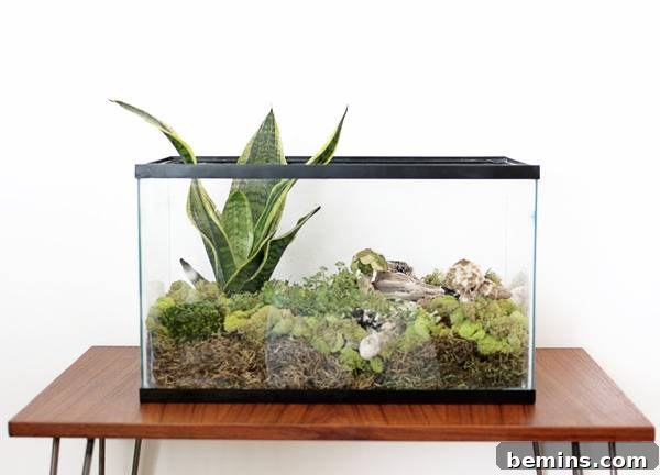 DIY Fall Terrarium: Simple Steps for Autumnal Beauty 6 Close-up of Moss in a Terrarium