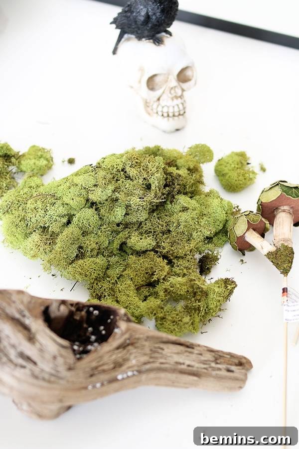 DIY Fall Terrarium: Simple Steps for Autumnal Beauty 9 A Spooky Halloween Terrarium with Skulls and Crows