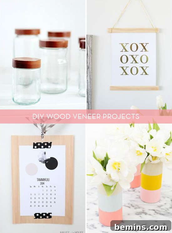Beautiful Home Project Using Wood Veneer