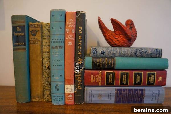 Vintage Books for Decorating and Reading
