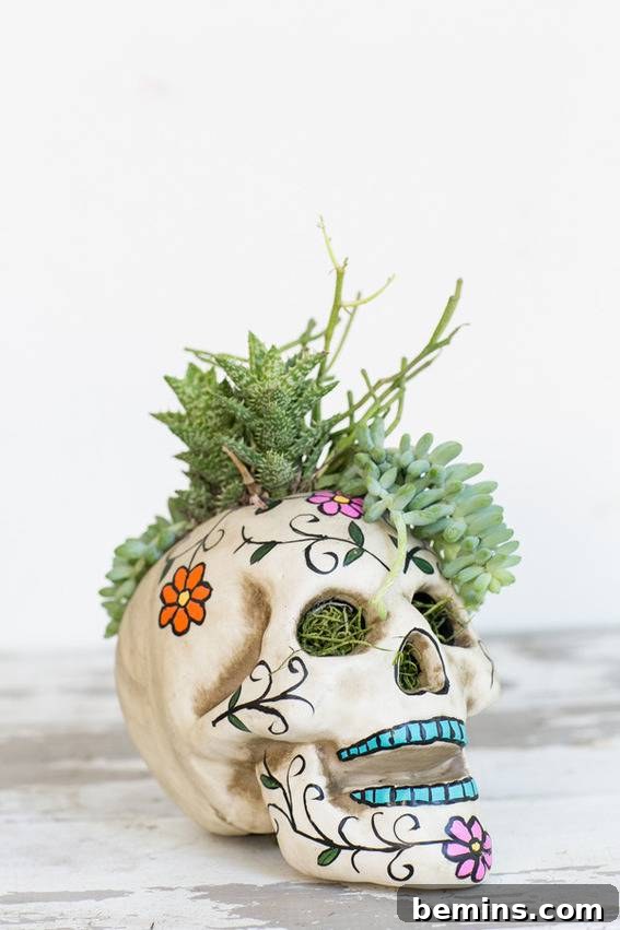 A unique sugar skull succulent planter for Day of the Dead