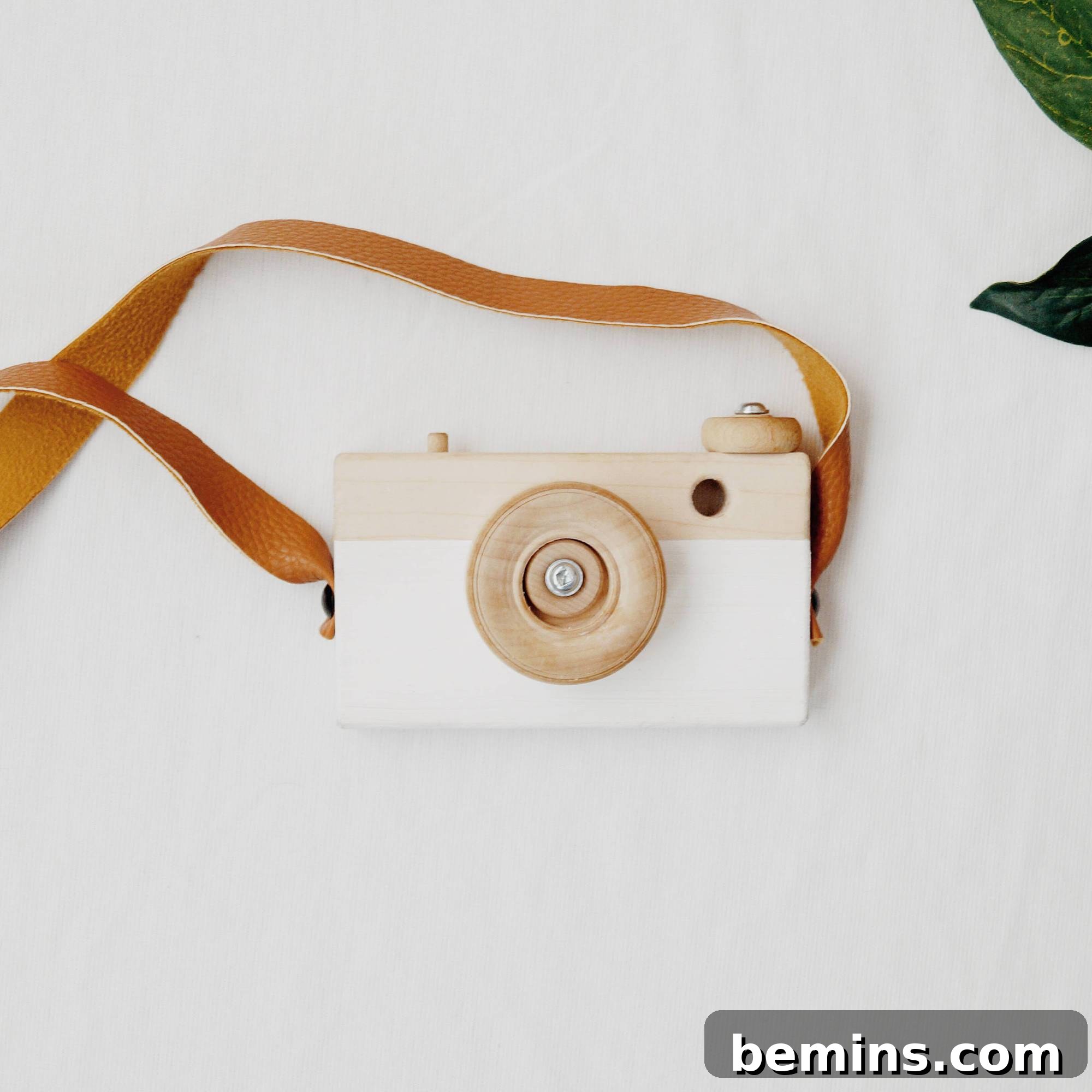 Wood toy camera