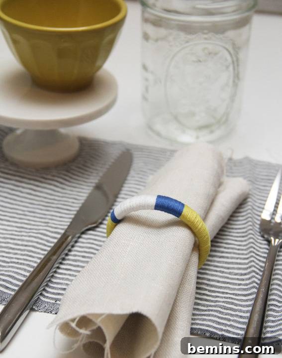 Color Blocked Napkin Rings: A Modern and Vibrant Accent