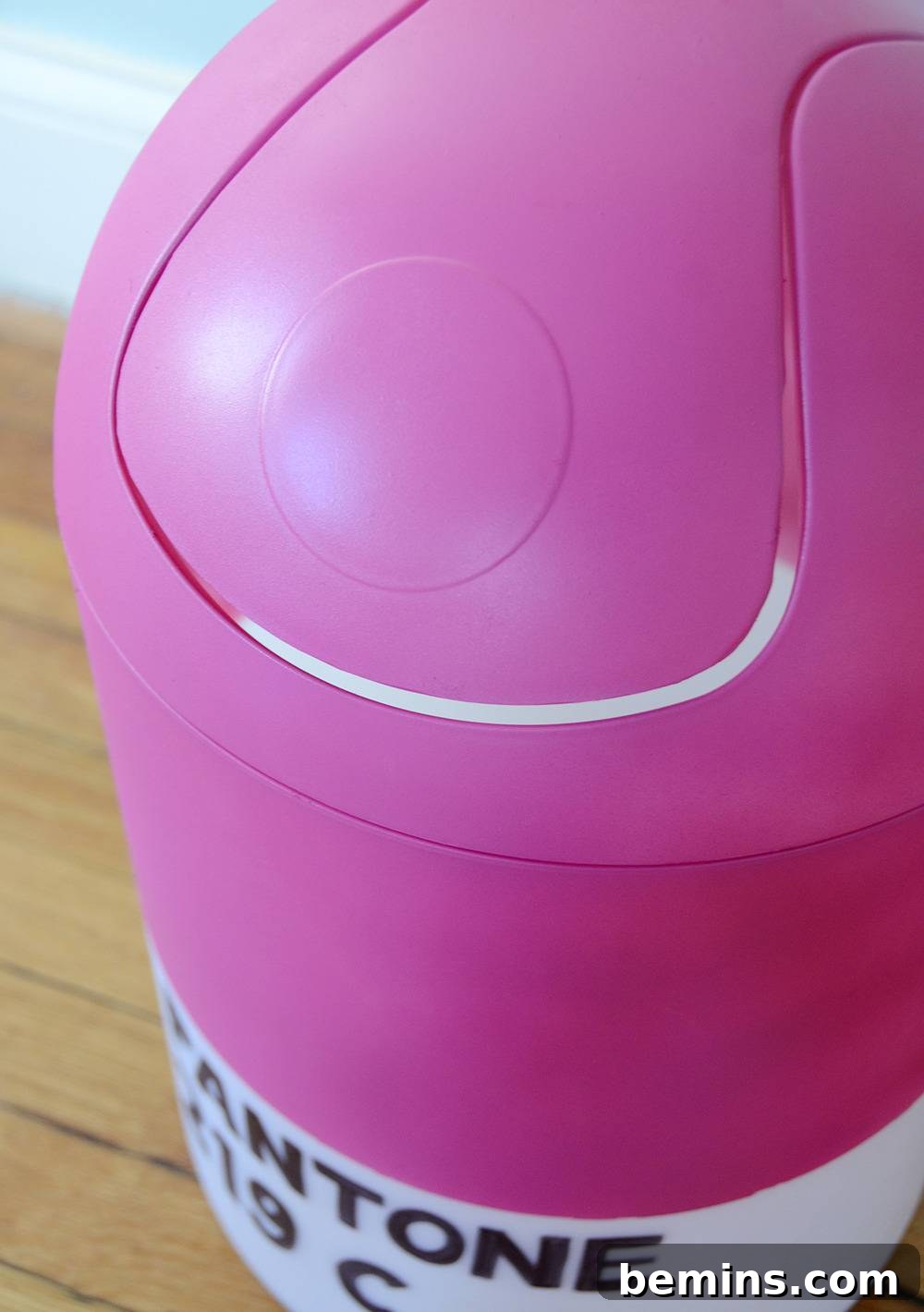 Finished DIY Pantone Trash Can