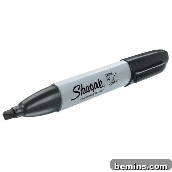 Chisel Tip Sharpie Marker