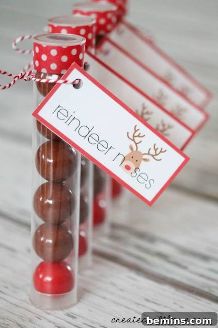 DIY Stocking Stuffer Ideas for Everyone 10 Reindeer noses gumball treat