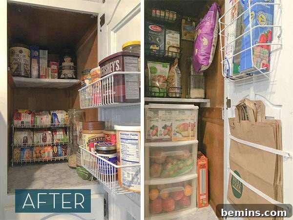The Small Kitchen Space with a Tiny Pantry