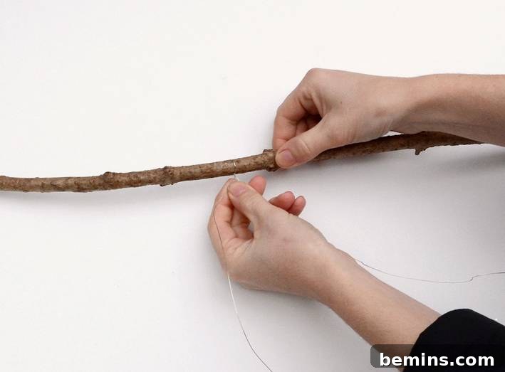 Attaching the Twigs to the Wire: Building the Tree's Structure