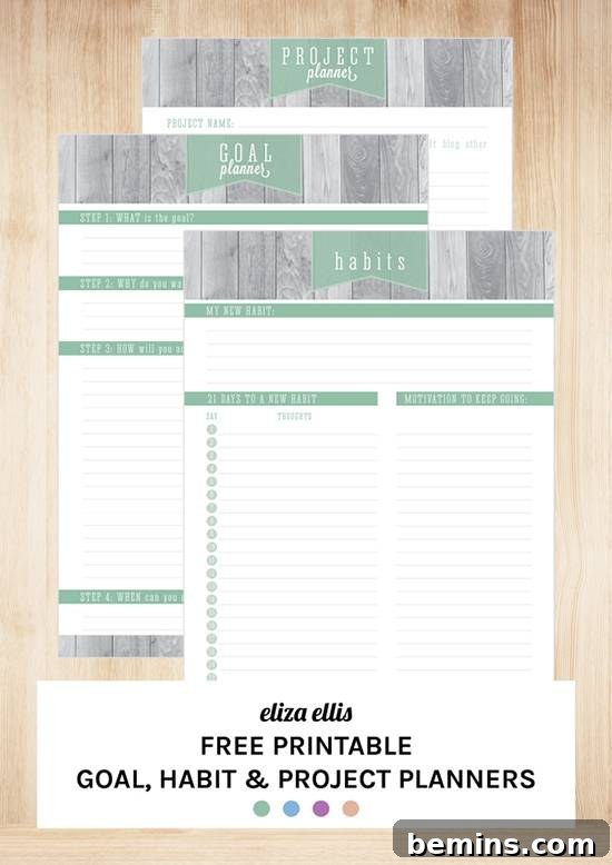 Eliza Ellis New Year's Resolution Printable