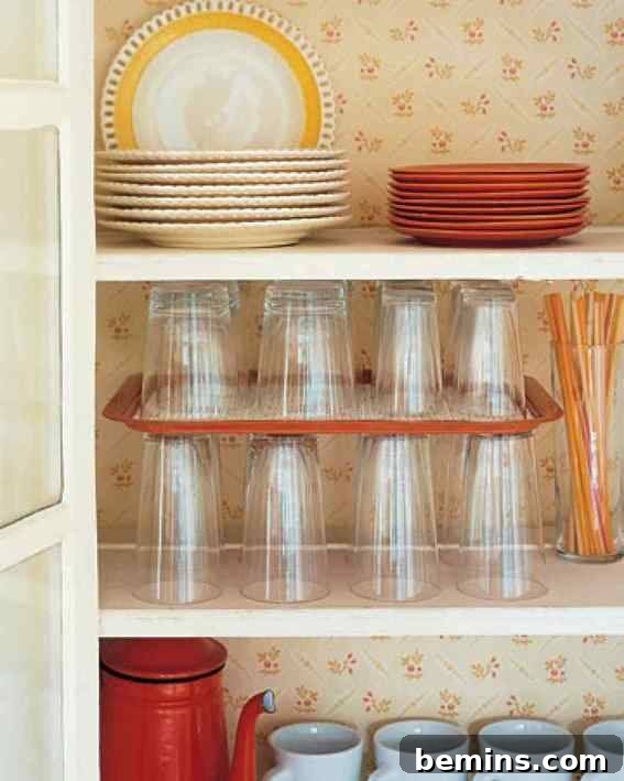 Organized kitchen rack showcasing plates, glasses, and other essentials.