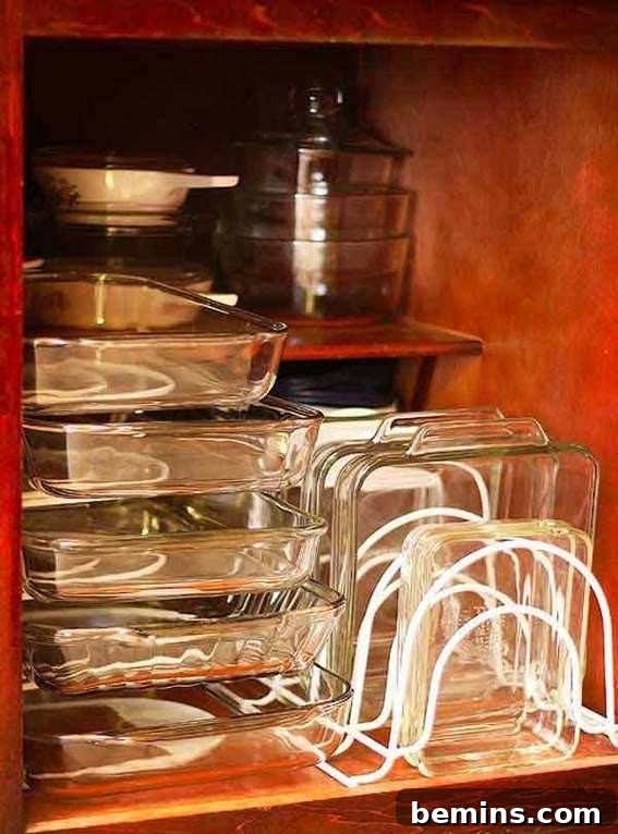 Kitchen cabinet showcasing a variety of organized items for efficient storage.