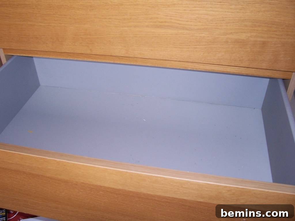 Empty drawer, ready for drawer organizing.