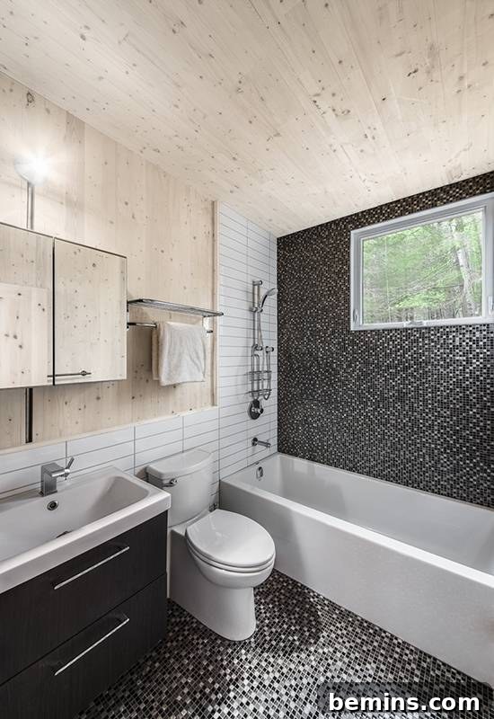 Kariouk Cabin Bathroom Design