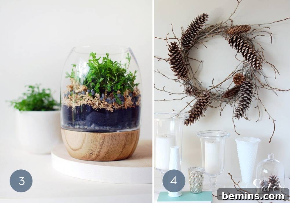 Moss Terrarium DIY Project