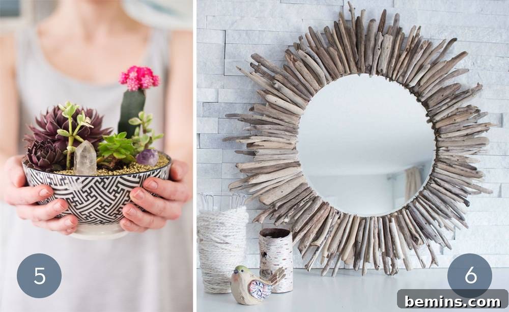 DIY Succulent Garden Bowl