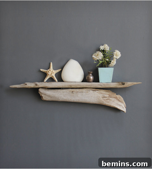Driftwood Decor: 15 Coastal Style Ideas 5 Driftwood shelf