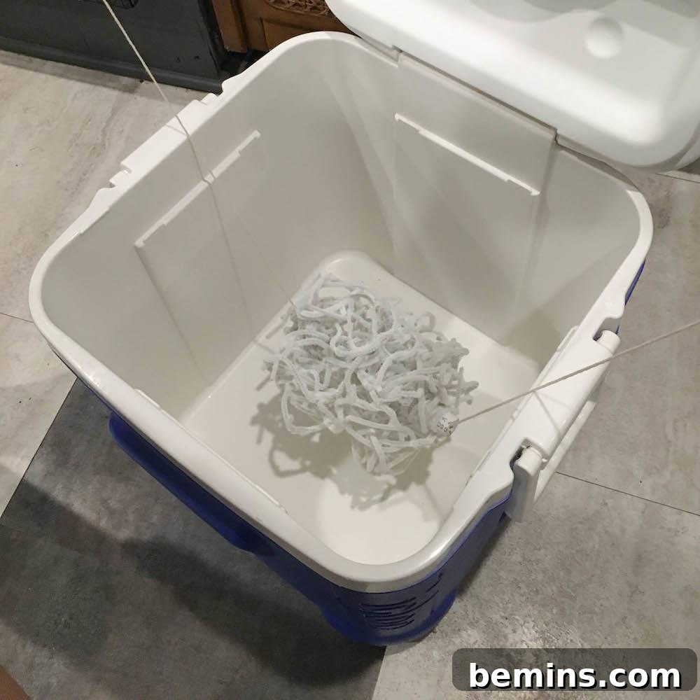 Suspending the Pipe Cleaner Frame in the Borax Solution