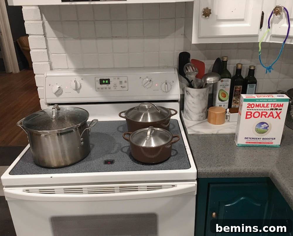 Boiling Water for the Borax Crystal Growing Mixture