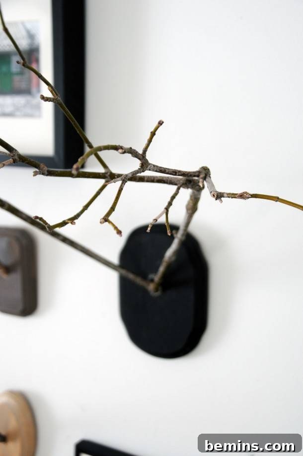 Creative Ways to Decorate Your Home with Twigs 13 DIY Twig Antler Mount