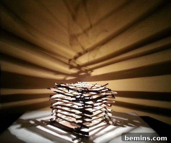 Creative Ways to Decorate Your Home with Twigs 6 DIY Rustic Twig Lamp Shade